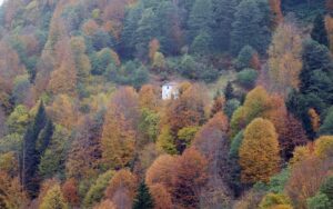 TRABZON (AA) – Trabzon şehir merkezine en yakın yayla olan