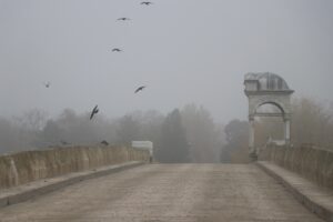 EDİRNE (AA) – Edirne, Kırklareli ve Tekirdağ'da yoğun sis yaşamı