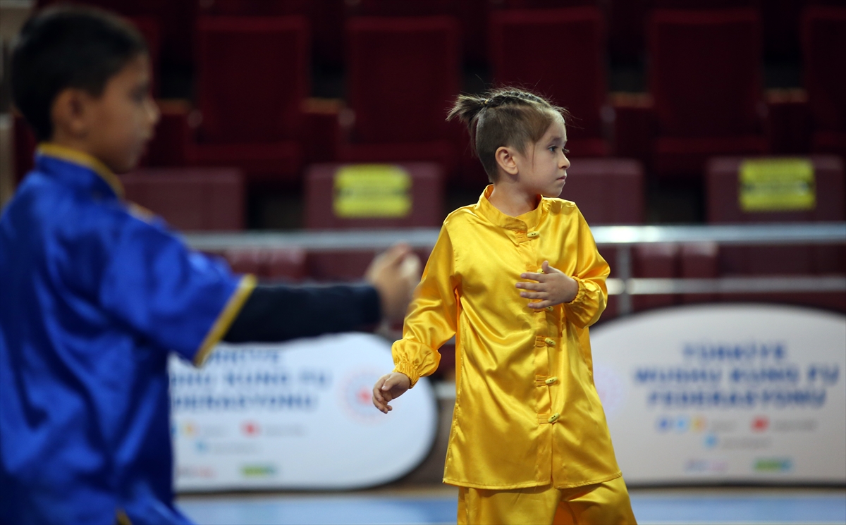 Wushu Tai Chi Türkiye Şampiyonası Sakarya'da başladı