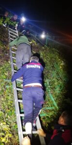 ZONGULDAK (AA) – Zonguldak'ın Kozlu ilçesinde dereye düşen hafif ticari