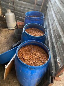 - Operasyonda 5 zanlı gözaltına alındı