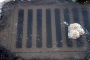 ERZURUM (AA) – Doğu Anadolu Bölgesi'nde etkili olan kar yağışı