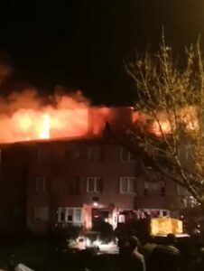 YALOVA (AA) – Yalova'nın Altınova ilçesine bağlı Subaşı beldesinde 3