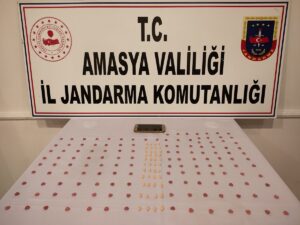 AMASYA (AA) – Amasya'da jandarma ekiplerince durdurulan otomobilde 183 uyuşturucu