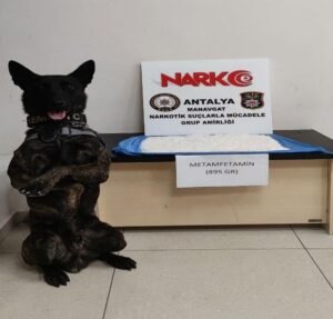 ANTALYA (AA) – Antalya'nın Manavgat ilçesinde, narkotik arama köpeği "Pars"
