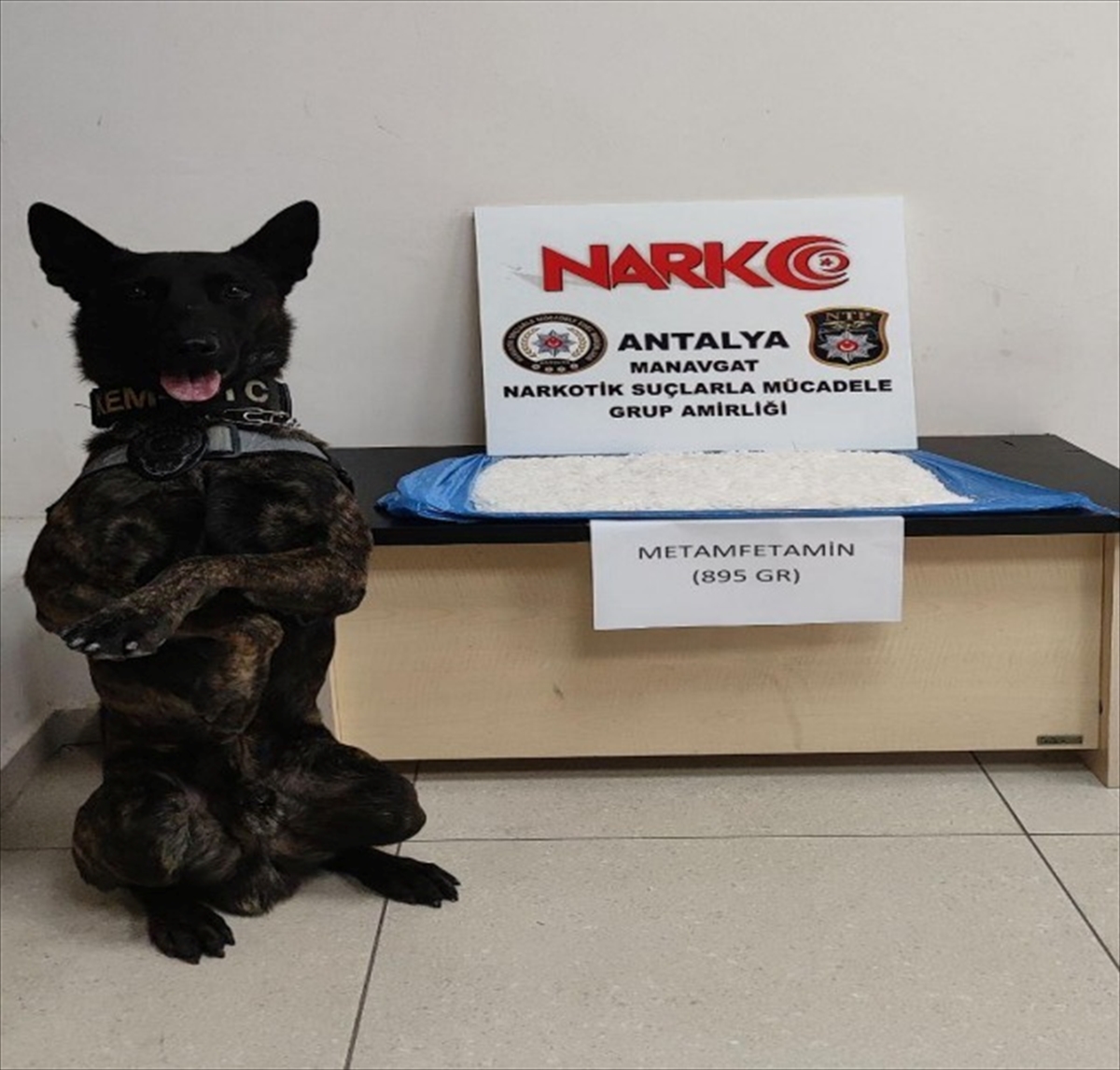 Antalya'da narkotik arama köpeği “Pars”ın uyuşturucu bulduğu araçtaki 3 kişi tutuklandı