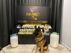 ANTALYA (AA) – Antalya'da peynir bidonunda uyuşturucu ele geçirilmesiyle ilgili