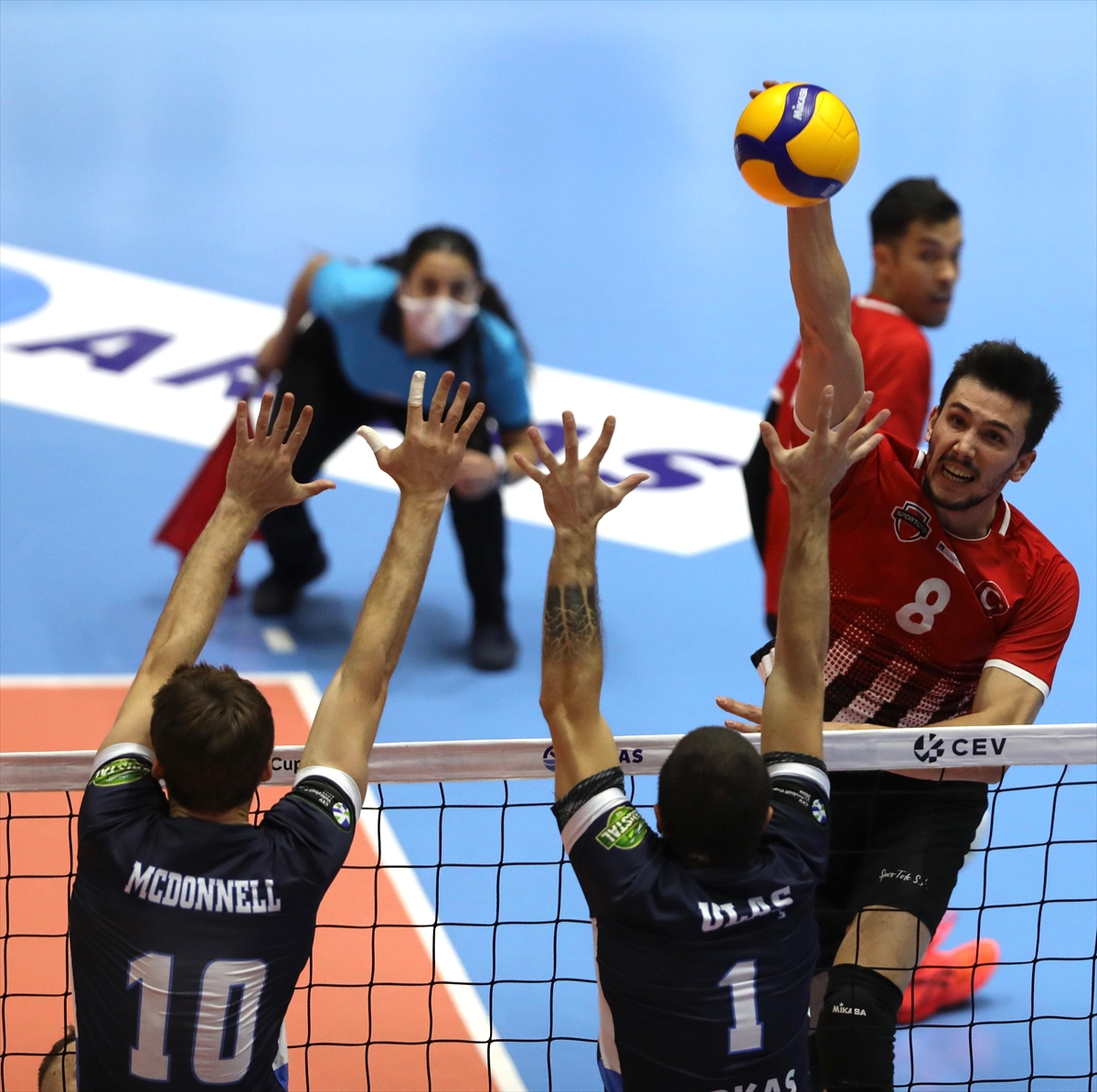 Voleybol: Erkekler CEV Kupası