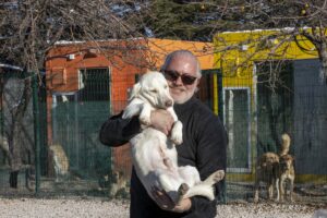 ANKARA (AA) – Sokak hayvanlarına yaşam alanı sağlamak için faaliyet