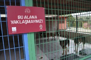 İSTANBUL (AA) – GÜÇ GÖNEL – HÜSEYİN KUL – İstanbul'da