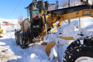 BİNGÖL/SİİRT (AA) – Bingöl ve Siirt'te etkili olan kar yağışı