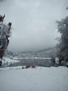 BOLU (AA) – Bolu'daki Sülüklügöl Tabiat Parkı'nda doğa yürüyüşü yaparken