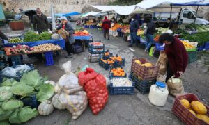 ÇANAKKALE (AA) – BURAK AKAY – Çanakkale'nin Bozcaada ilçesinde 10