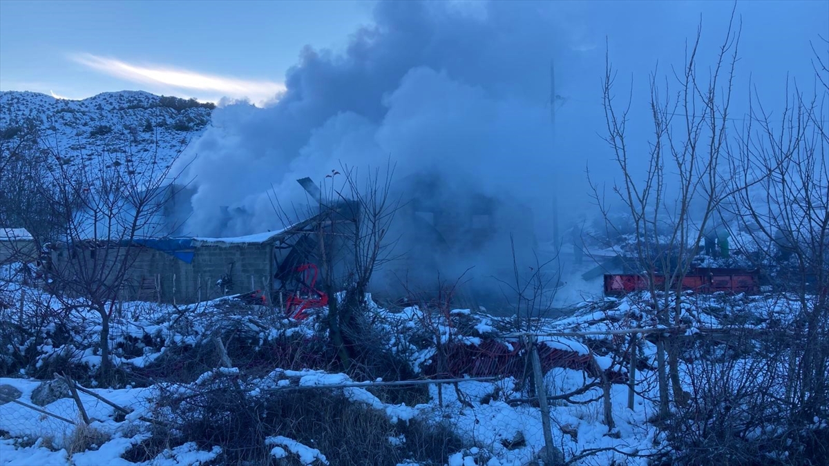 Burdur'da ev ve ahırda çıkan yangında 11 hayvan telef oldu