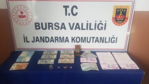 BURSA (AA) – Bursa'nın Mudanya ilçesinde bakıcılık yaptığı villadan para