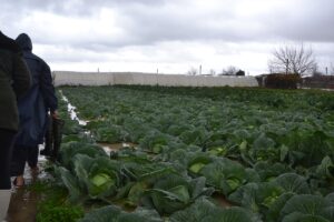 ÇANAKKALE (AA) – Çanakkale’nin Biga ilçesinde şiddetli yağış nedeniyle bazı
