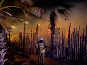 İZMİR (AA) – İzmir’in Çeşme ilçesinde bir iş yerinde yıldırım