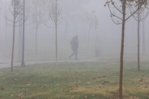 DİYARBAKIR (AA) – Diyarbakır'da etkili olan sis, kentteki tarihi mekanların