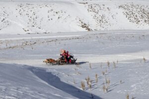 ERZURUM (AA) – SELAMİ KÜÇÜKOĞLU – Doğal afetlerde hayat kurtaran
