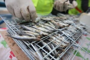 DÜZCE (AA) – Düzce'nin Akçakoca ilçesinde ikincisi düzenlenen Hamsi Festivali'nde