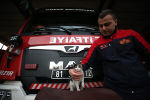 DÜZCE (AA) – ÖMER ÜRER – Düzce'de, itfaiye ekiplerince asansör