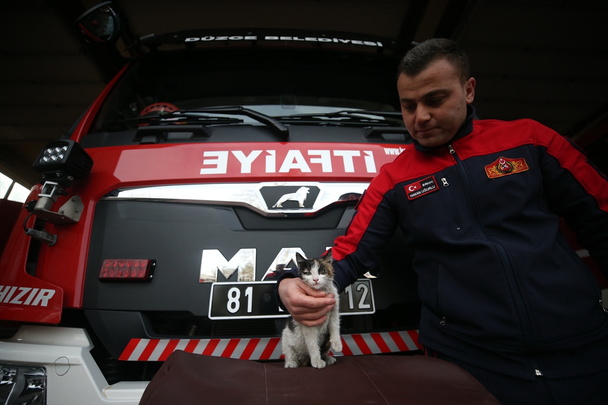 Düzce'de itfaiye ekiplerinin sahiplendiği kedi personelden bir an bile ayrılmıyor