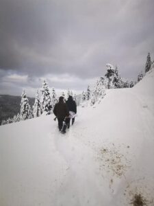 DÜZCE (AA) – Düzce'nin yüksek kesimlerinde geçen hafta etkili olan