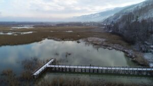 DÜZCE (AA) – Düzce'nin Gölyaka ilçesindeki Efteni Gölü Kuş Cenneti'nde