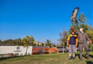 DENİZLİ (AA) – Denizli'nin Tavas ilçesinde bulunan ve enfeksiyon nedeniyle