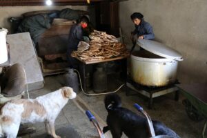 TAHRAN (AA) – MUHAMMET KURŞUN – İranlı motosiklet yarışçısı ve