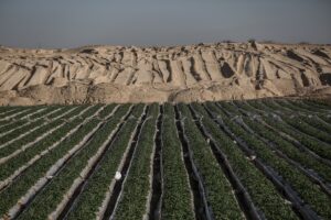GAZZE (AA) – MUHAMMED EBU DUN – Filistinli Raid Kâdan'ın