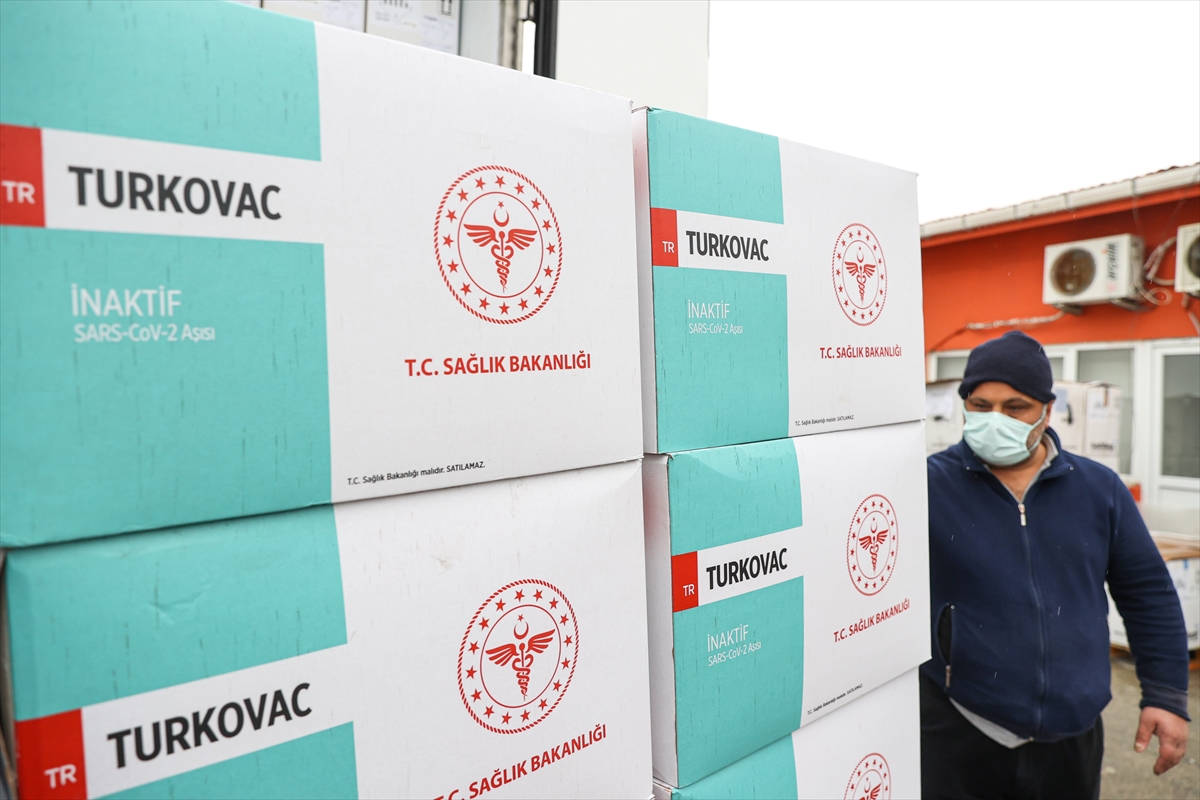 İstanbul'a yerli aşı TURKOVAC'ın ilk sevkiyatı yapıldı