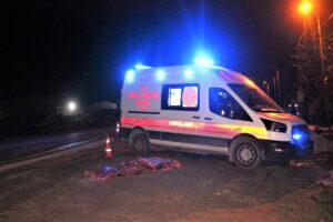 İZMİR (AA) – İzmir'in Ödemiş ilçesinde kamyonetin çarptığı yaya hayatını