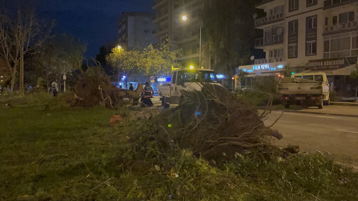 İzmir'de şiddetli rüzgar nedeniyle çok sayıda ağaç devrildi