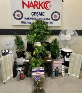 İZMİR (AA) – İzmir'in Çeşme ilçesinde, villada Hint keneviri yetiştirdiği