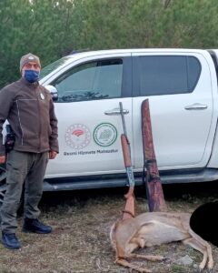 KASTAMONU (AA) – Kastamonu'da kaçak olarak karaca avladıkları belirlenen 2