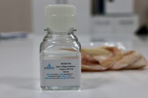 ESKİŞEHİR (AA) – DENİZ AÇIK – Eskişehir'de 2017 yılında 40