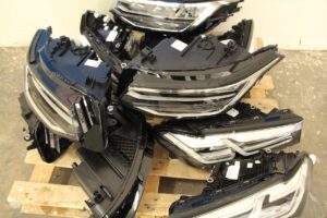 - Yakalananlar arasında 40 kilogram uyuşturucunun yanı sıra trüf mantarı,