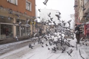 - Bölgede gece en düşük hava sıcaklığı sıfırın altında 7
