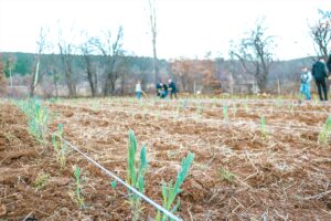 KASTAMONU (AA) – Kastamonu Üniversitesi Araç Rafet Vergili Meslek Yüksekokulu