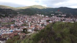 SAKARYA (AA) – ÖMER FARUK CEBECİ – Birleşmiş Milletler Dünya