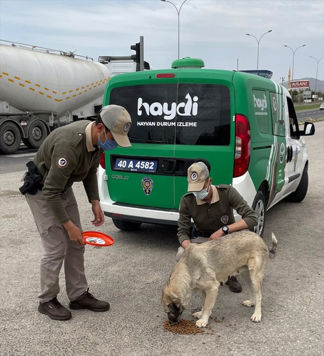 Kırşehir'de polislerden sokak hayvanlarına yiyecek desteği