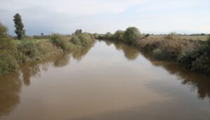 AYDIN (AA) – Aydın’da yaz aylarında etkili olan kuraklık nedeniyle