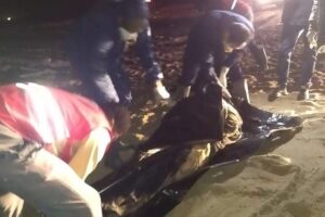 - Cesetler arasında bir bebek ile iki kadının da bulunduğu