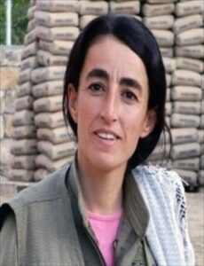 - Bagok kırsalında etkisiz hale getirilen teröristlerden Deniz Orak'ın, 2