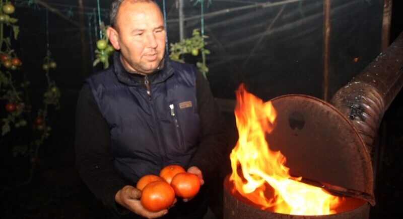 Mersin’de çiftçiler zirai don nöbeti tutuyor