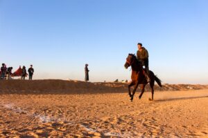 KAHİRE (AA) – FERDİ BAYAT – Mısır'da kabileler arasında kültür,
