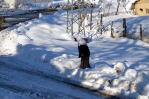 MUŞ (AA) – Muş'un yüksek kesimlerdeki köylerde ev ve ahırların
