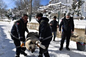 BURSA (AA) – Bursa'da, Osmangazi ilçe Belediyesi tarafından karla kaplanan