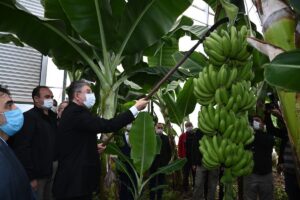OSMANİYE (AA) – Osmaniye Valisi Erdinç Yılmaz, bir girişimci tarafından